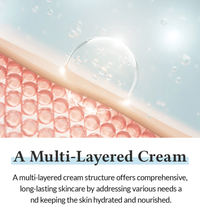 DR.ALTHEA 147 Barrier Cream Lebanon Korean skin barrier repair moisturizer soothing sensitive skin skincare